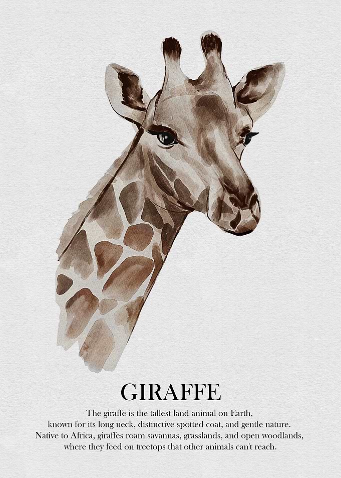 Giraffe Watercolor Illustration