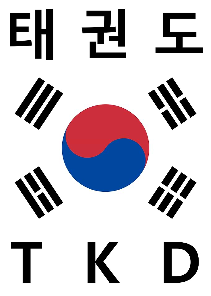 Taekwondo South Korean Flag TKD
