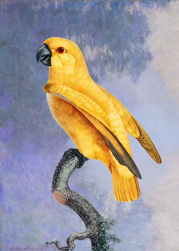 Yellow Parrot on Branch