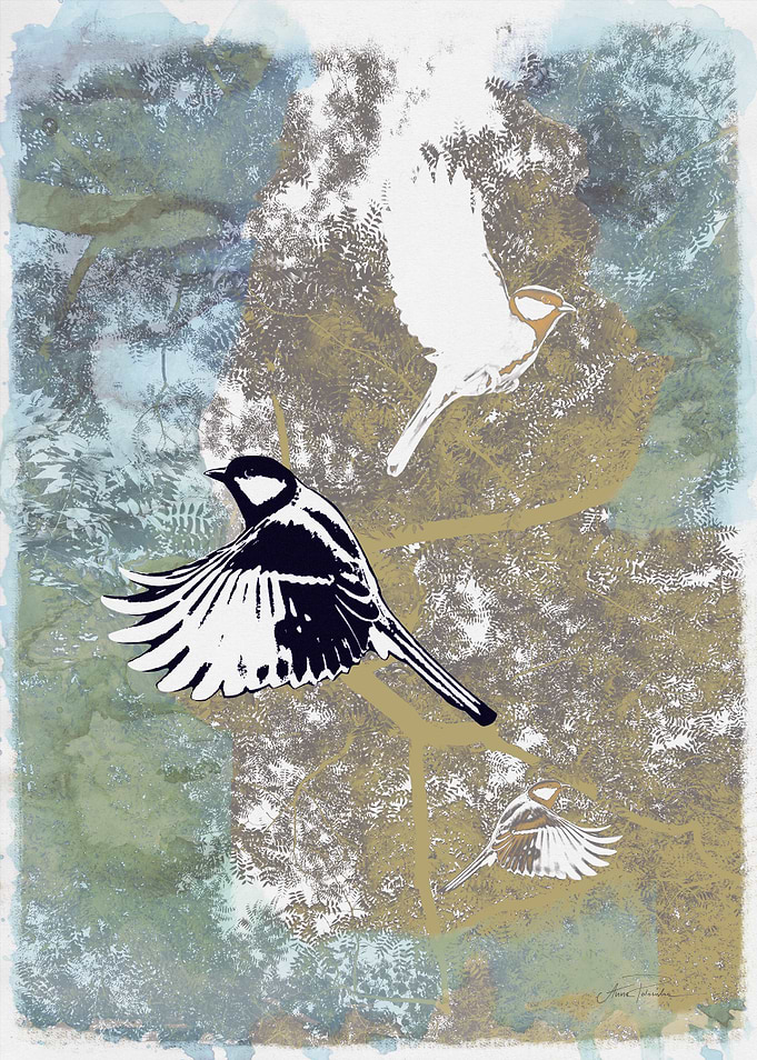 Birds in Flight