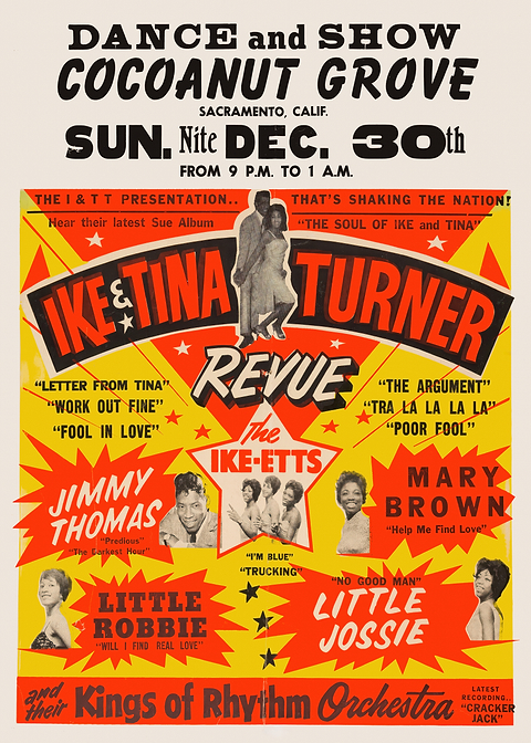 Ike & Tina Turner Revue Concert Poster — retro concert bill printed on metal