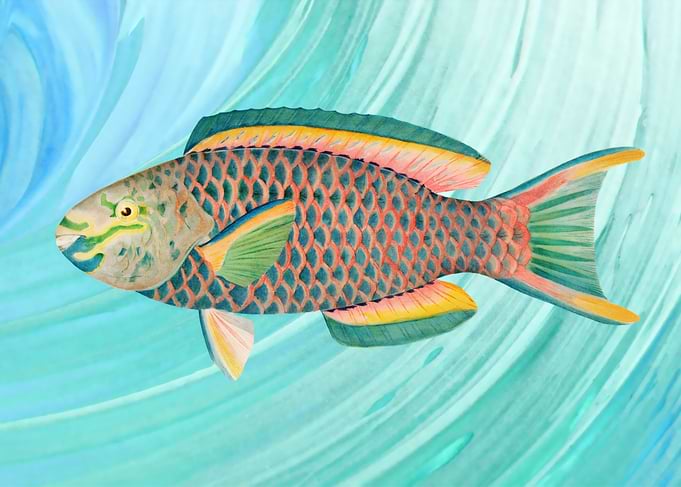 Colorful Fish