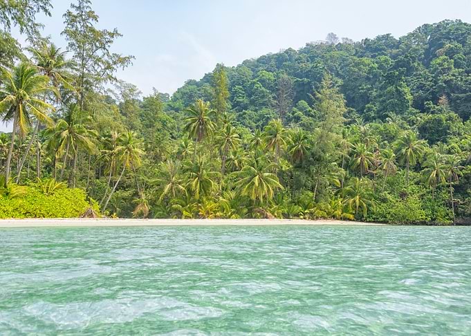 Tropical Beach Paradise
