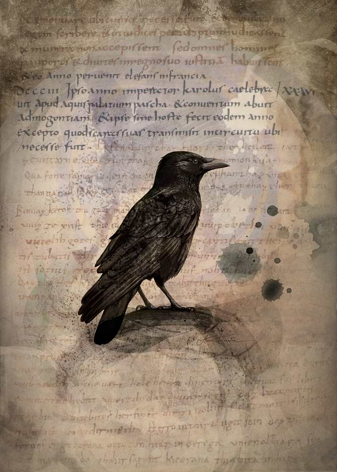 Raven on Old Manuscript