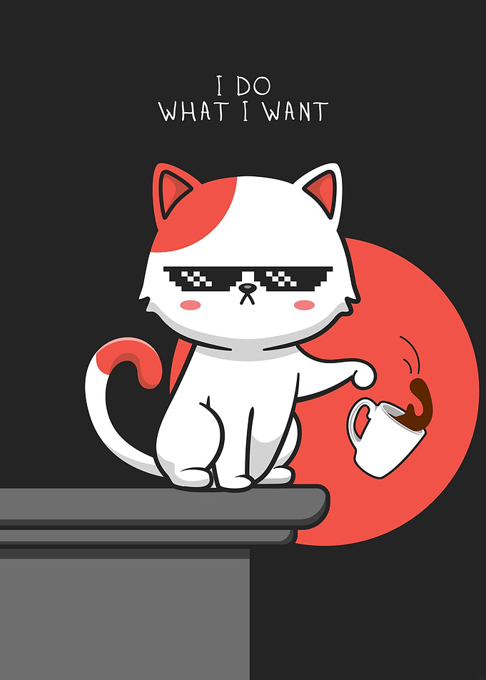 Cool Cat Coffee