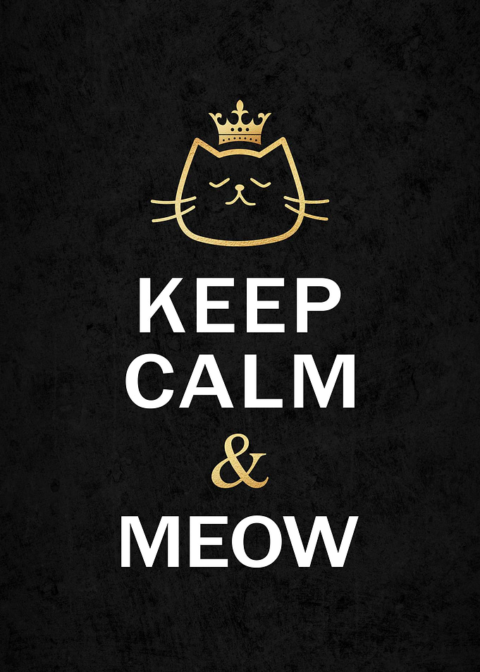Keep Calm & Meow Cat Poster