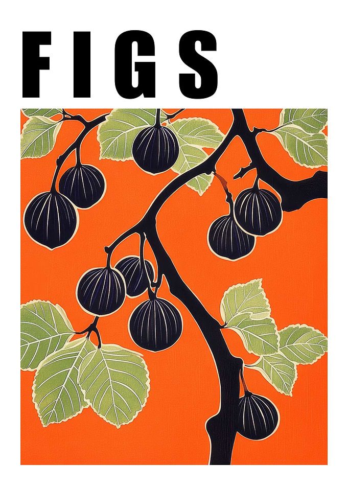 Figs Branch Retro Kitchen Poster