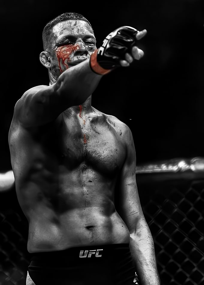 Nate Diaz UFC Fighter Portrait