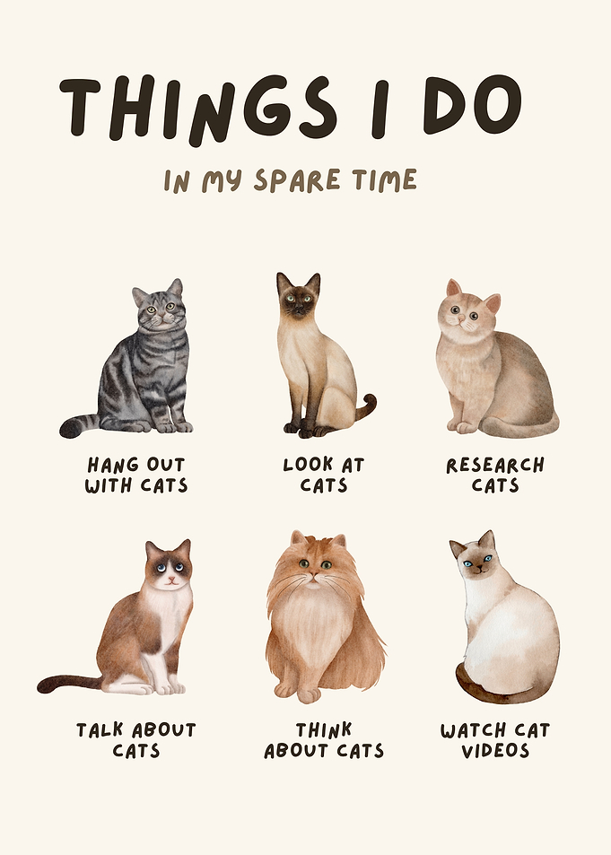 Cat Lover's Spare Time