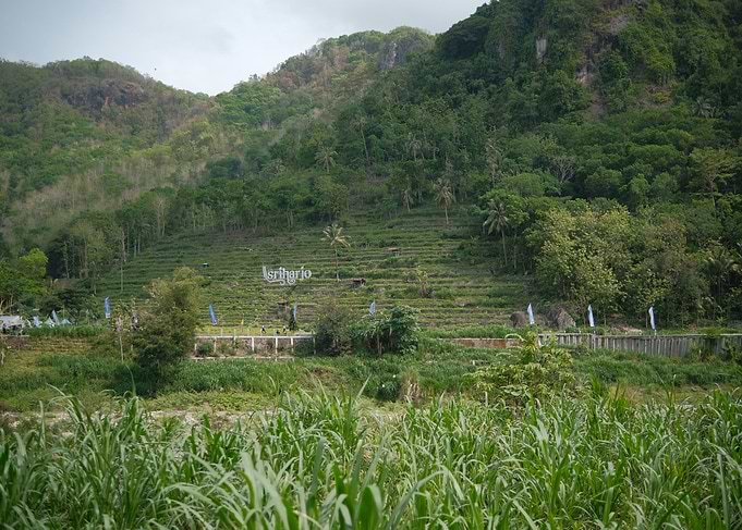 Green Hills and Terraces