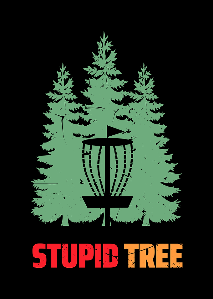disc golf