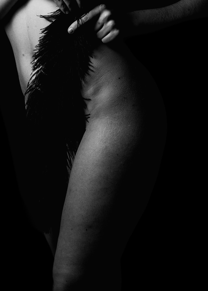 Black and White Feather