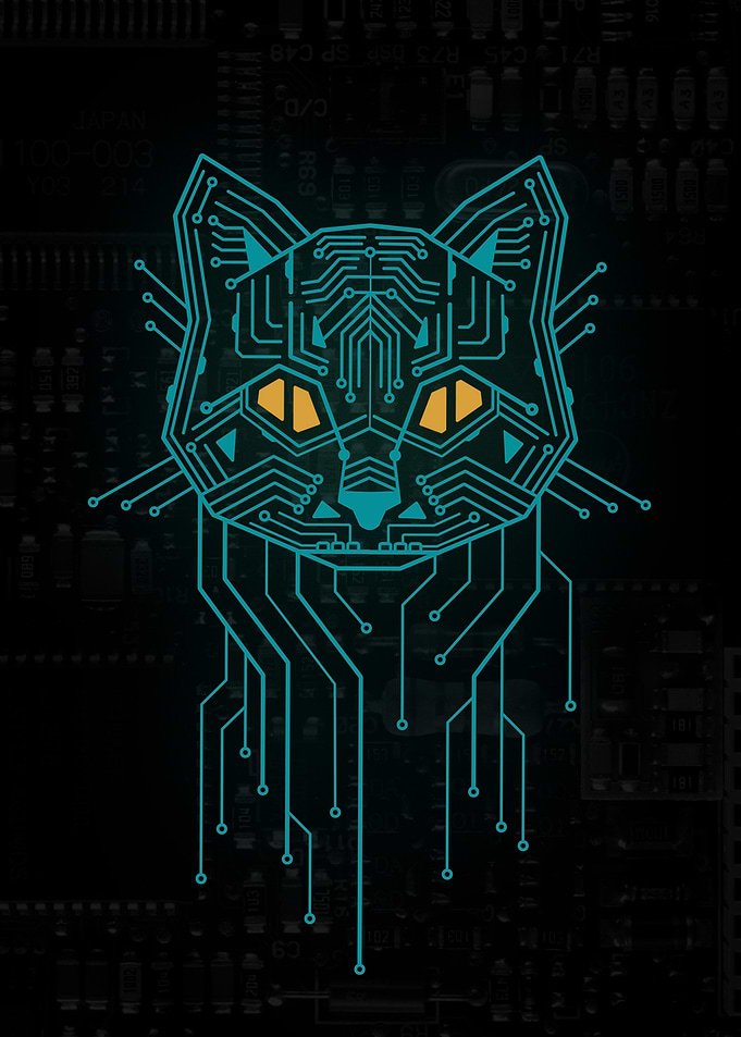 Circuit Cat