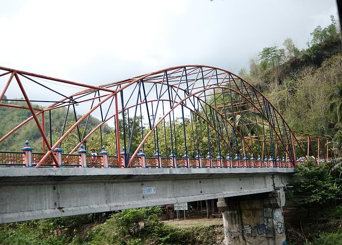 Steel Bridge Over Lush Landscape