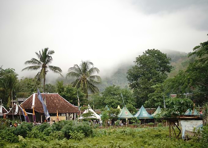 Tropical Village in Mist