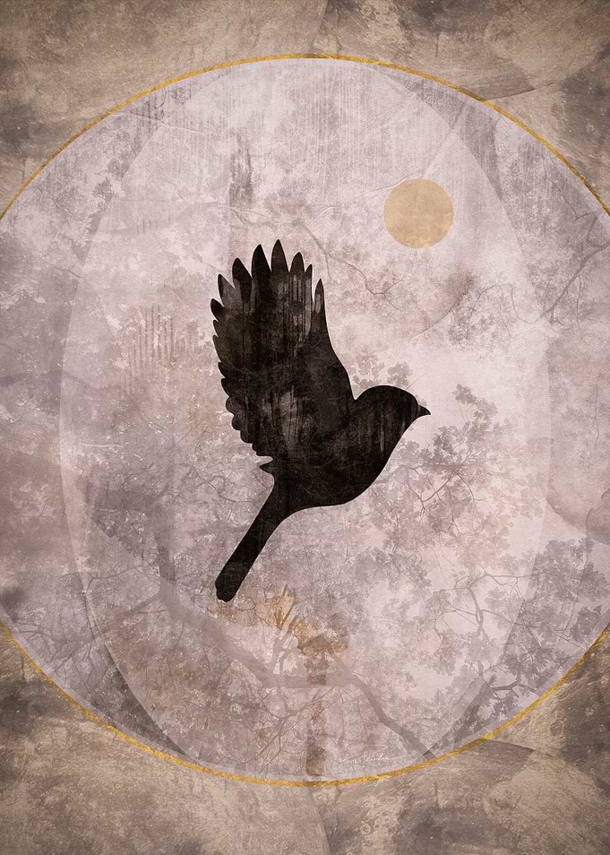 Silhouette Bird in Circle