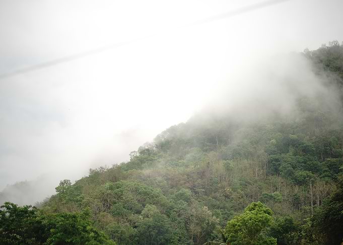 Misty Mountain Landscape