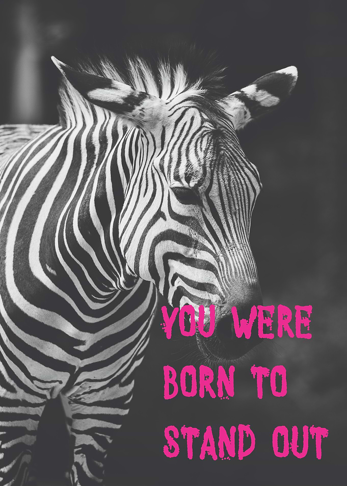 Zebra Stand Out