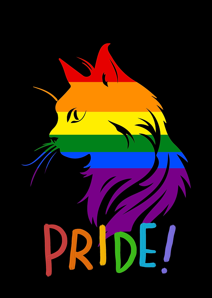 Rainbow Cat Pride