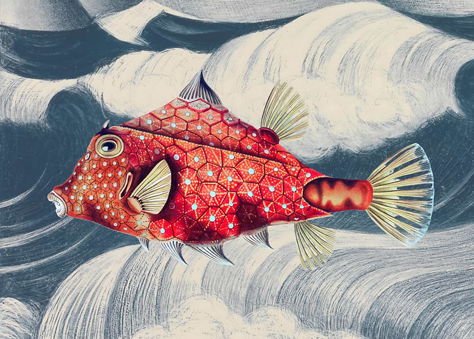 Red Fish