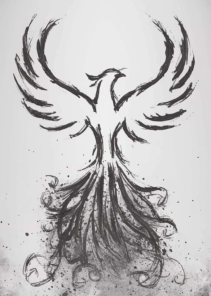 Phoenix Ink Drawing