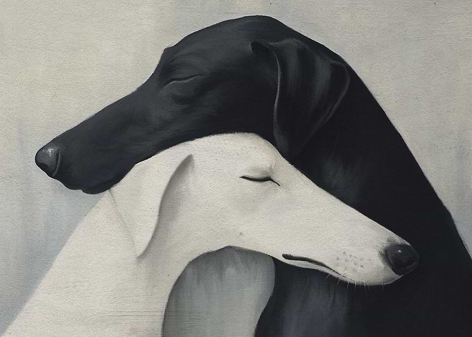 Black and White Dogs