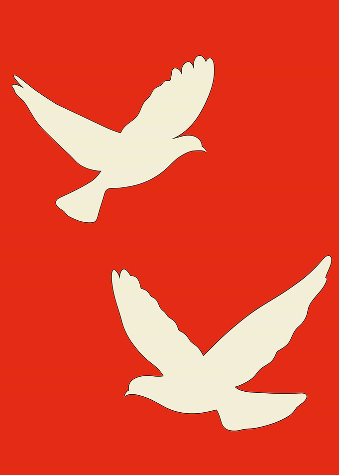 Two White Doves in Flight