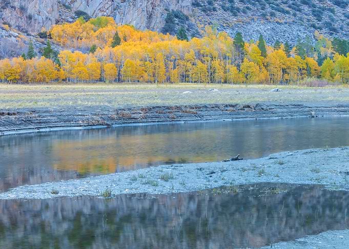 Autumn River Landscape