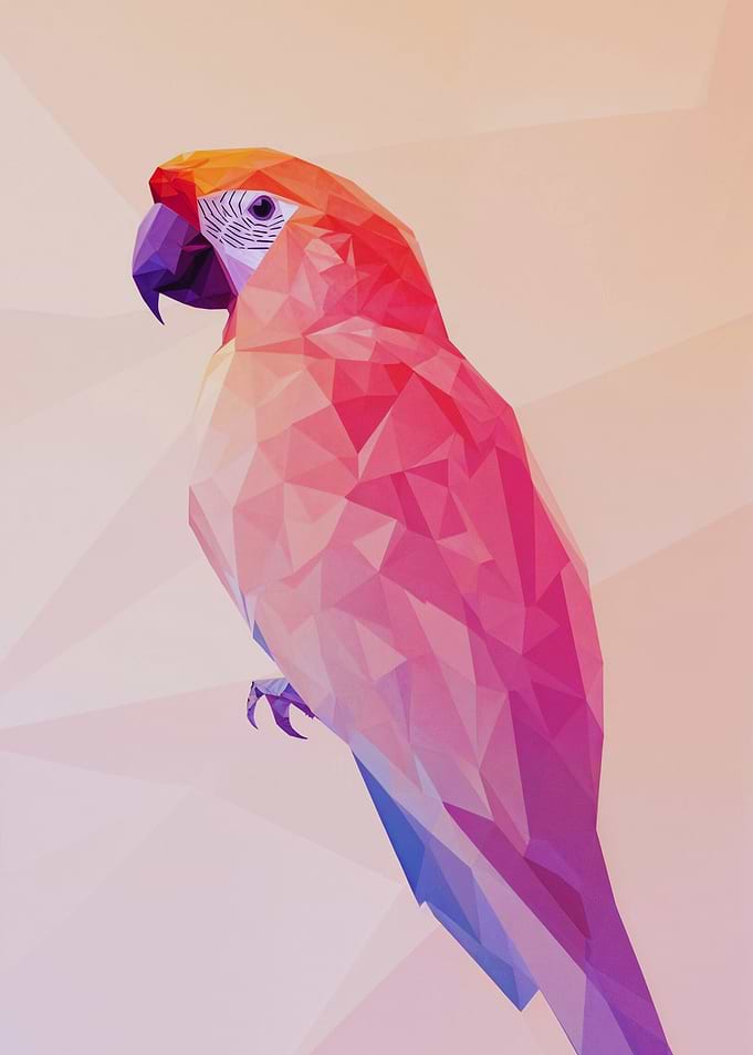 Geometric Parrot