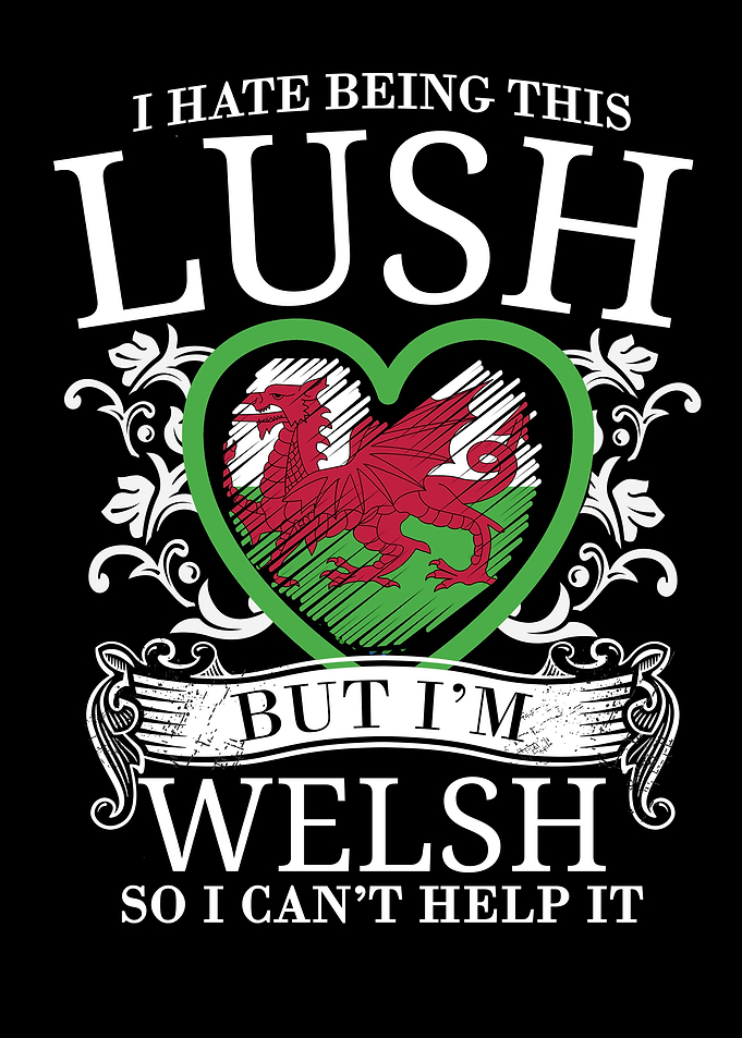 Welsh Dragon Heart
