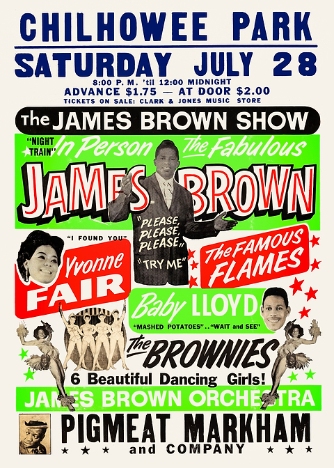 James Brown Show Poster — retro concert bill printed on metal