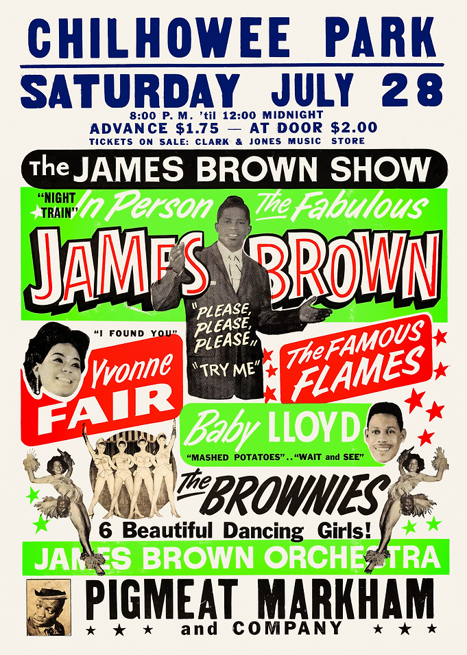 James Brown Show Poster