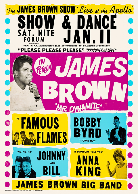 James Brown Show Concert Poster — retro concert bill printed on metal