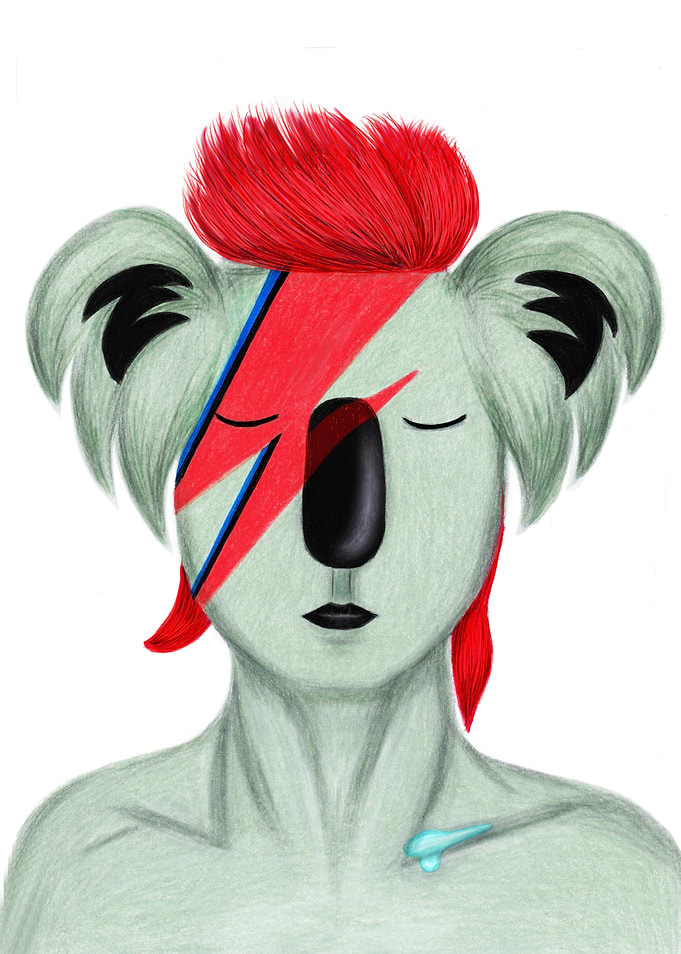 Koala 'David Bowie'