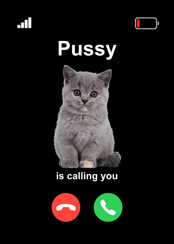 Cat Calling Phone Meme