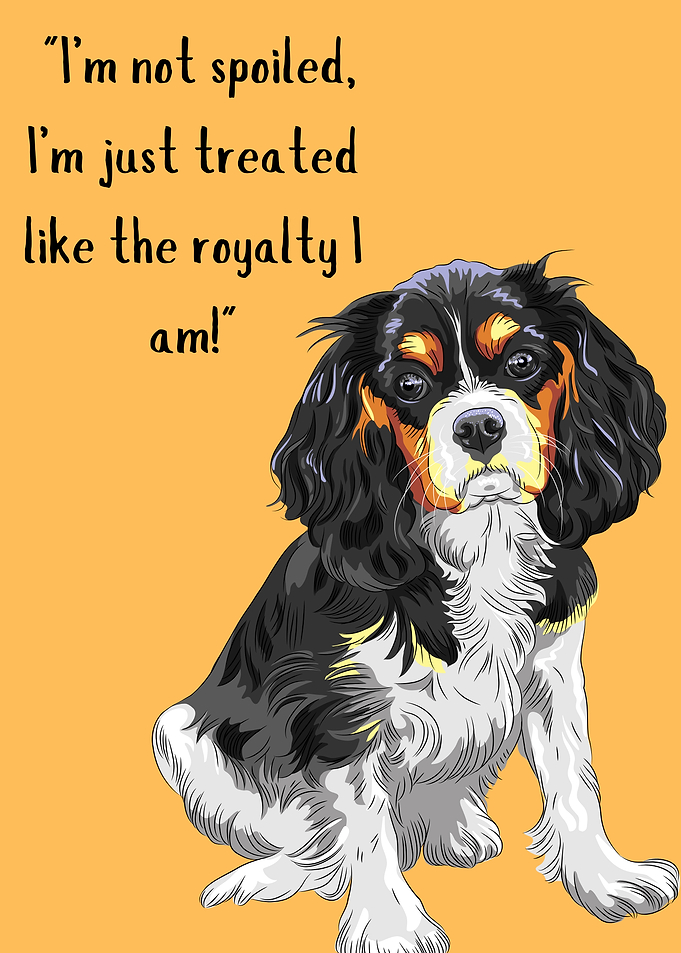 Cavalier King Charles Dog Royalty Quote