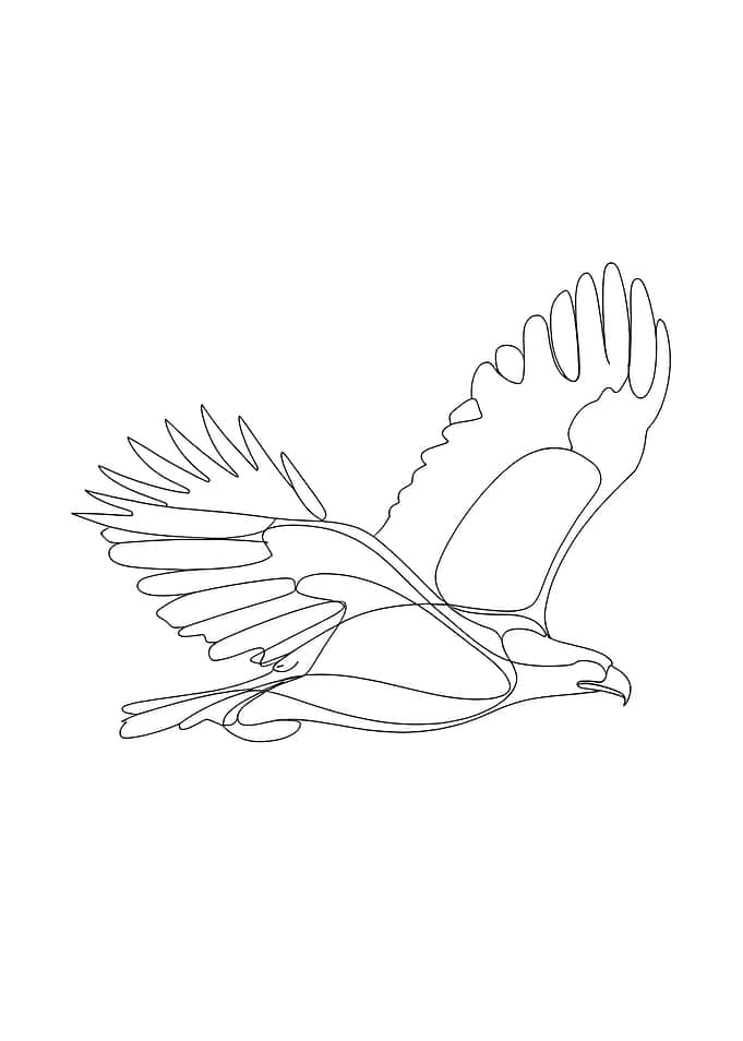 Eagle in Flight Line Art