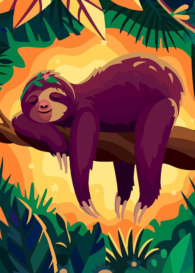 Cute Sleeping Sloth