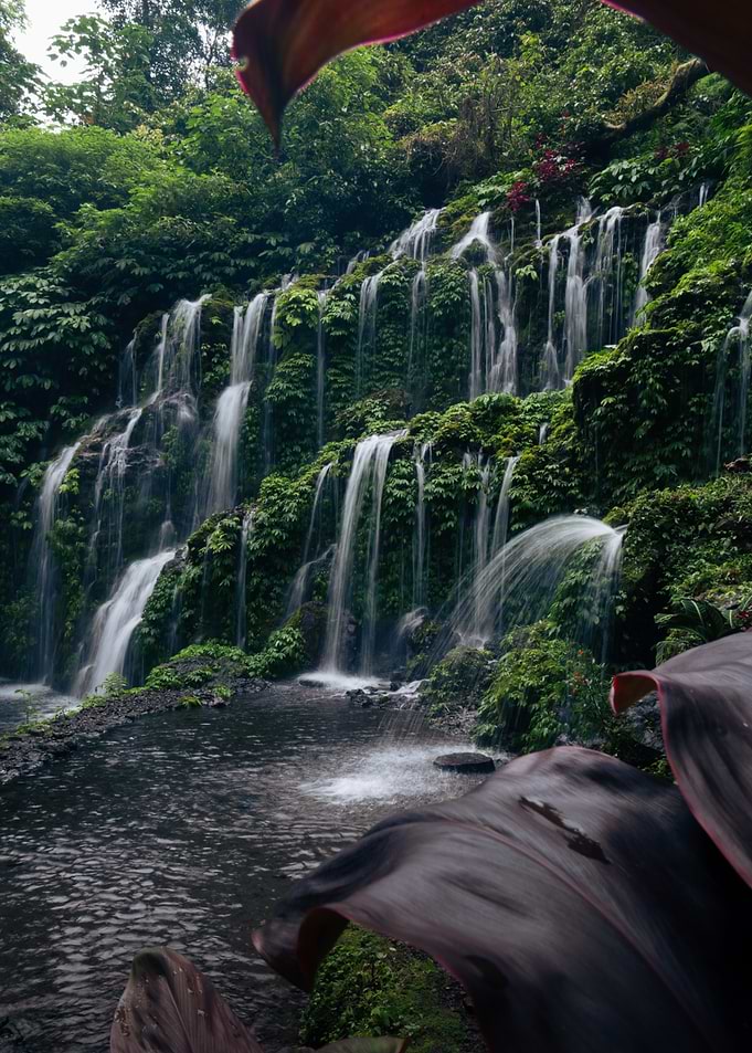 Waterfall in Lush Jungle
