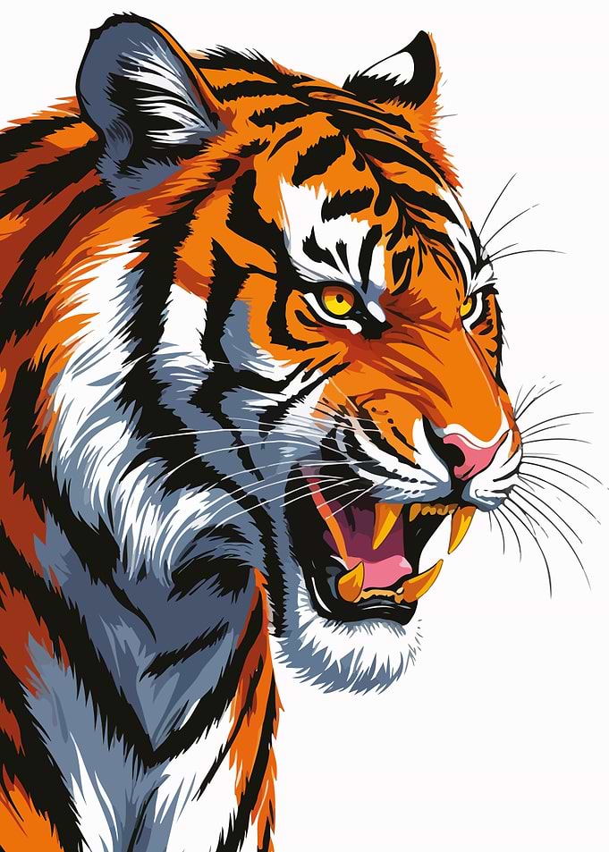 Roaring Tiger Illustration