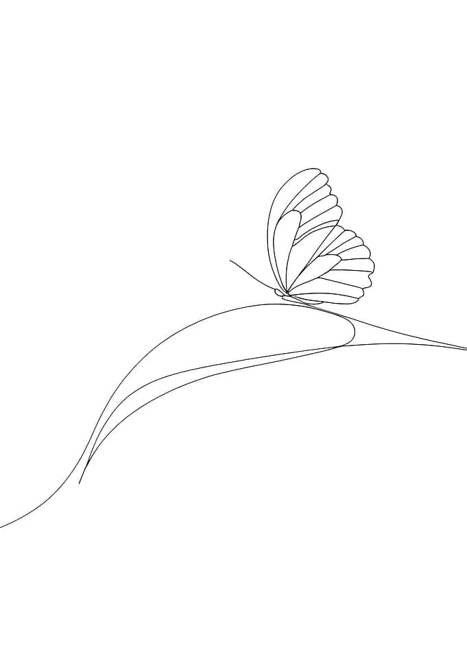 Line Art Butterfly