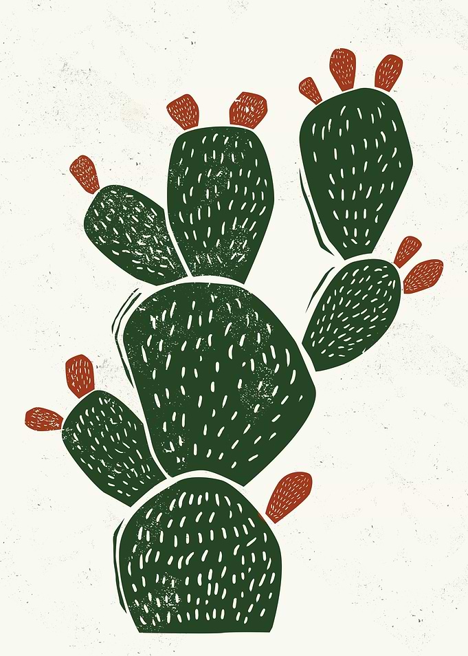 Cactus Print