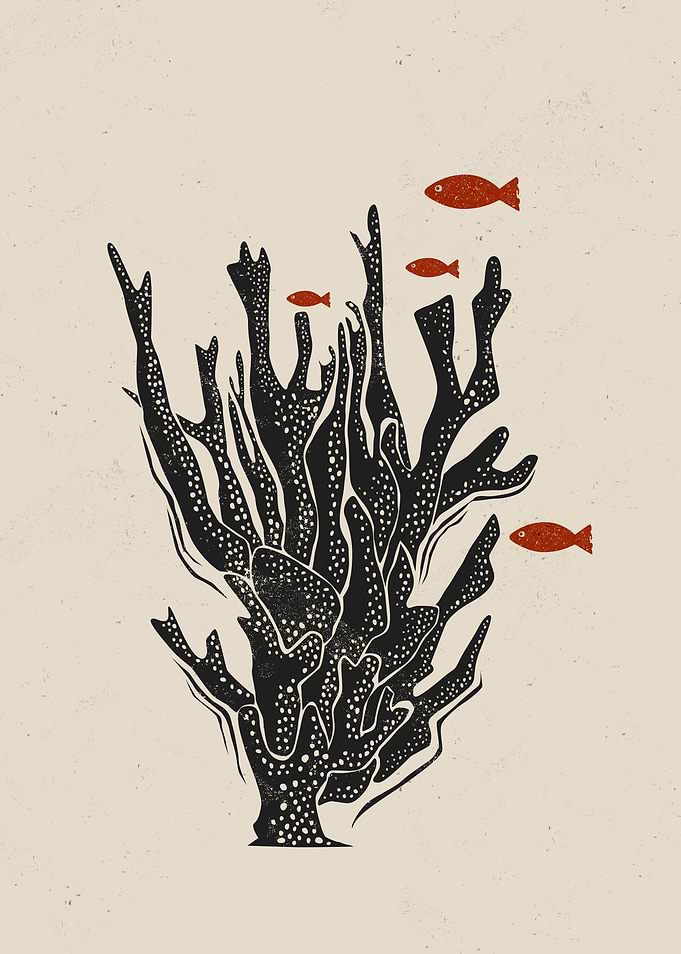Coral Reef Minimalist Art
