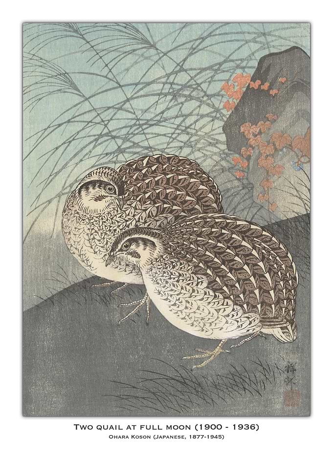 Two Quail at Full Moon