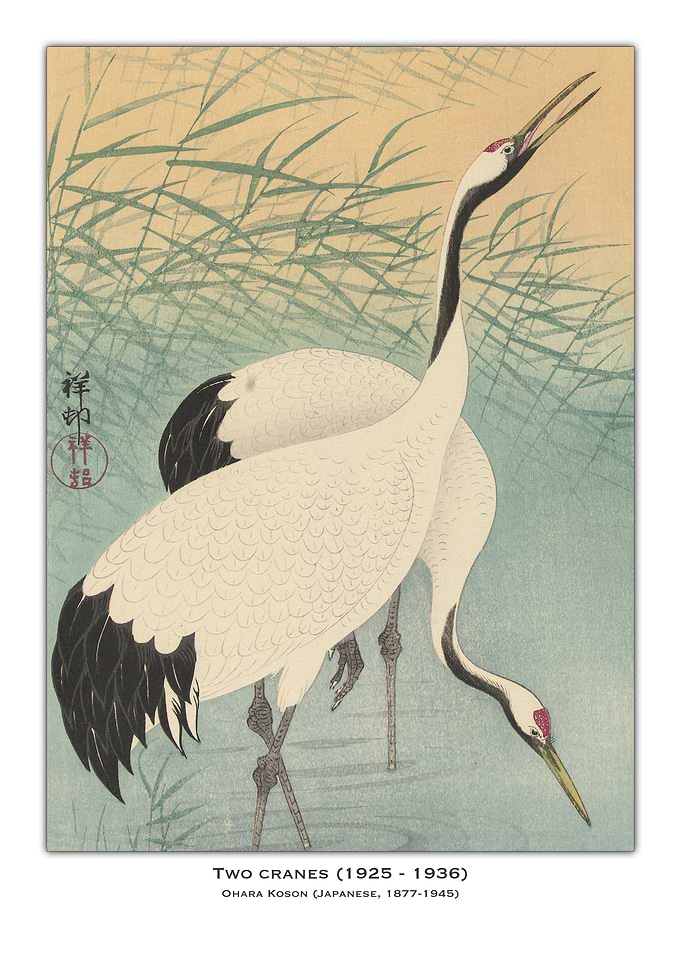 Two Cranes Japanese Art Print