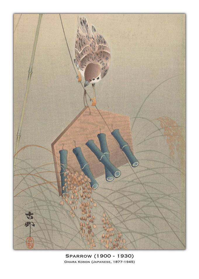 Sparrow
