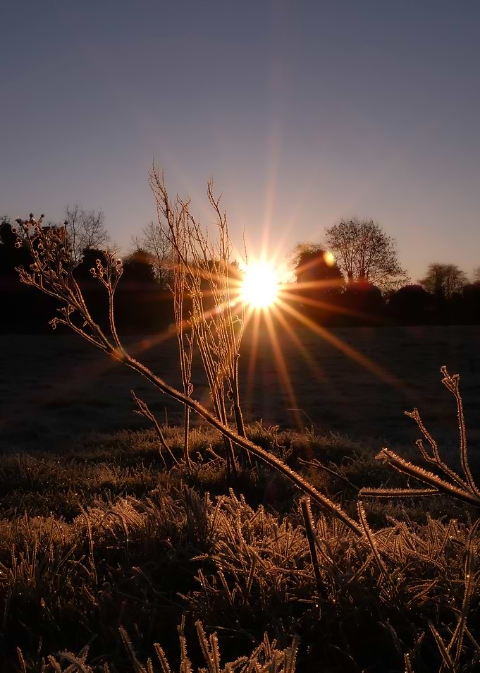 Sunrise Over Frosty Field