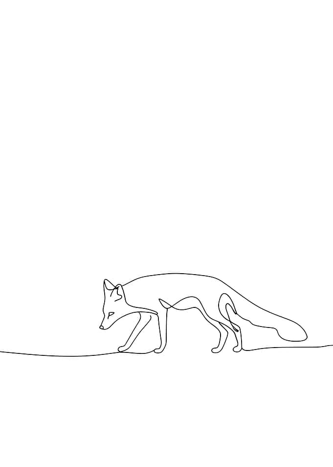 Fox Line Art