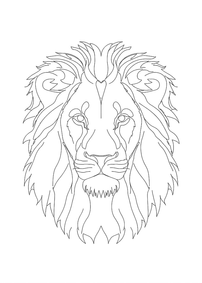Lion Head Line Art