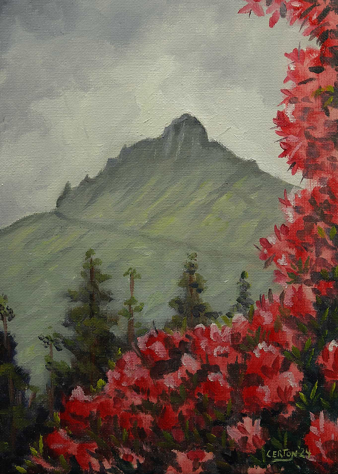 Mountain Landscape with Azaleas